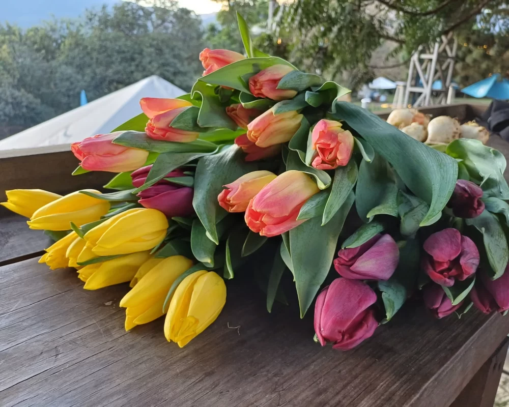 mimaflor-antigua-guatemala (205)